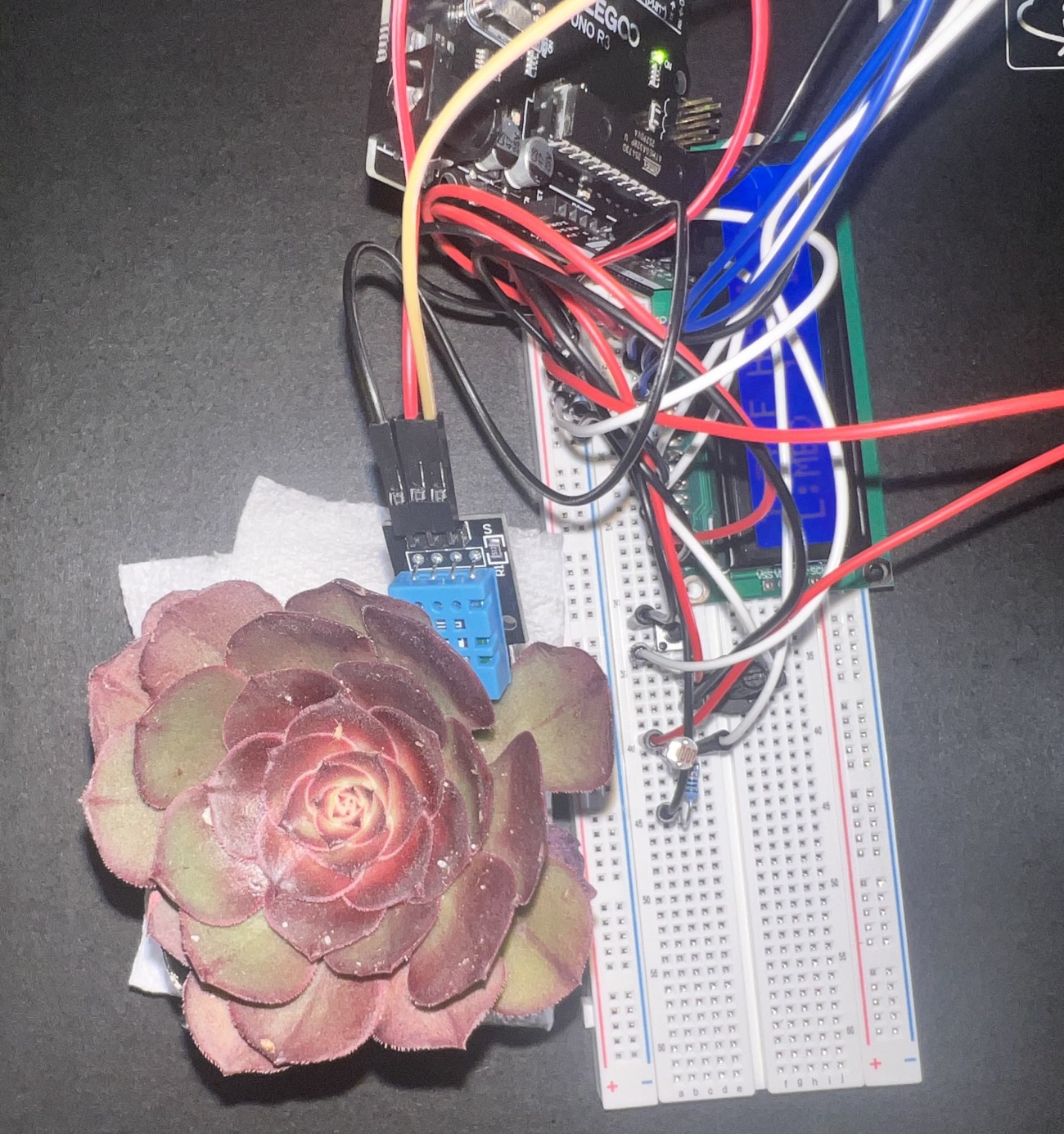 Arduino UNO R3 wiring and breadboard layout
